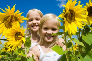 Mädchen im Sonnenblumenfeld