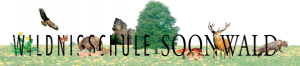 Logo Wildnisschule Soonwald